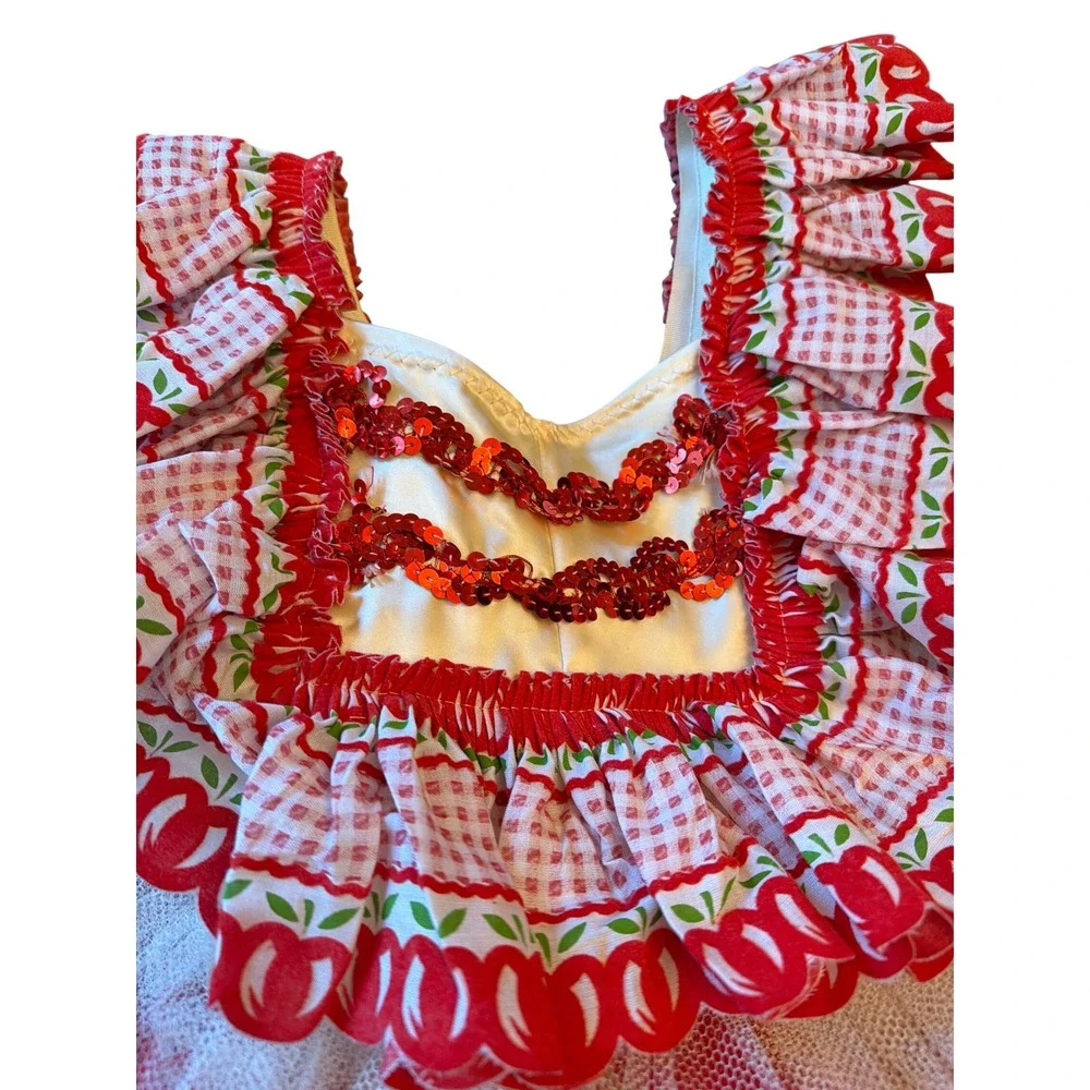 Taffys Showstoppers Dance Costume Red White Apple Gingham Tutu Sequin Vintage